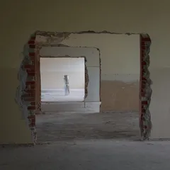 Artiști 2026